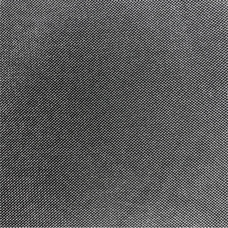 Premium 20D 100% Nylon American Net Shiny Micro Tulle Fabric